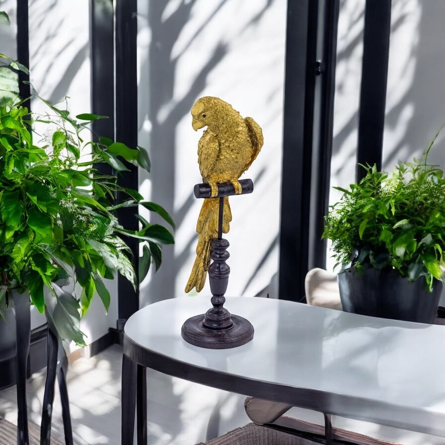 Parrot - Golden parrot Perch for home decor