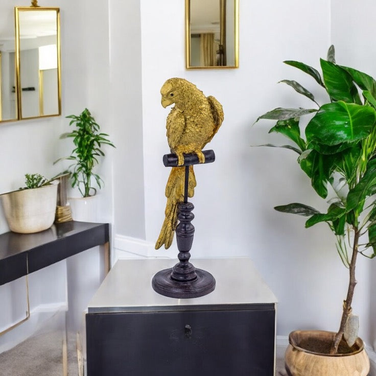Parrot on Stand
