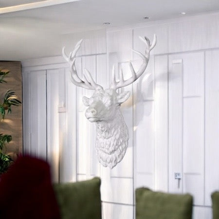 Large Stag Wall Head - White