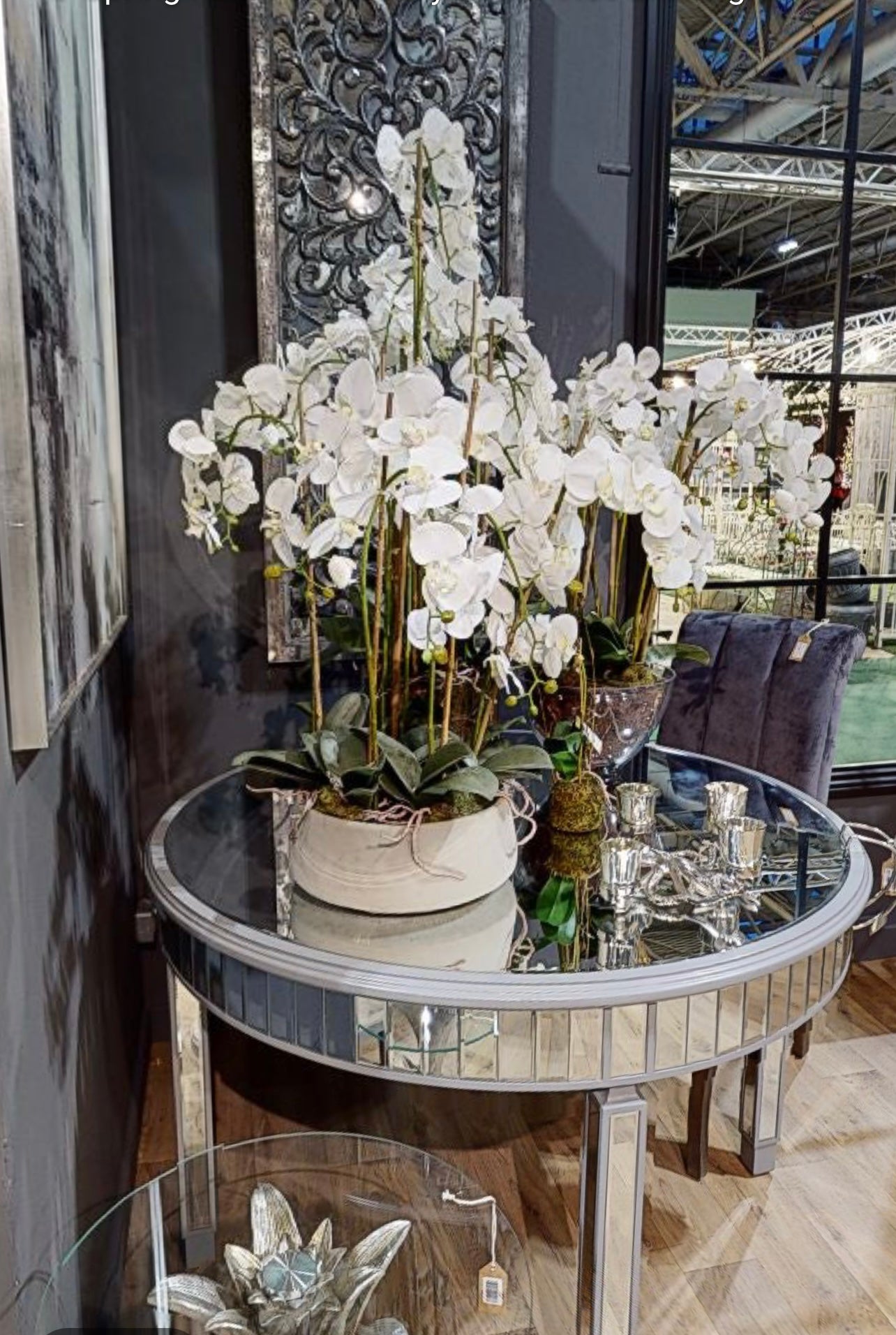 Large Potted Orchid